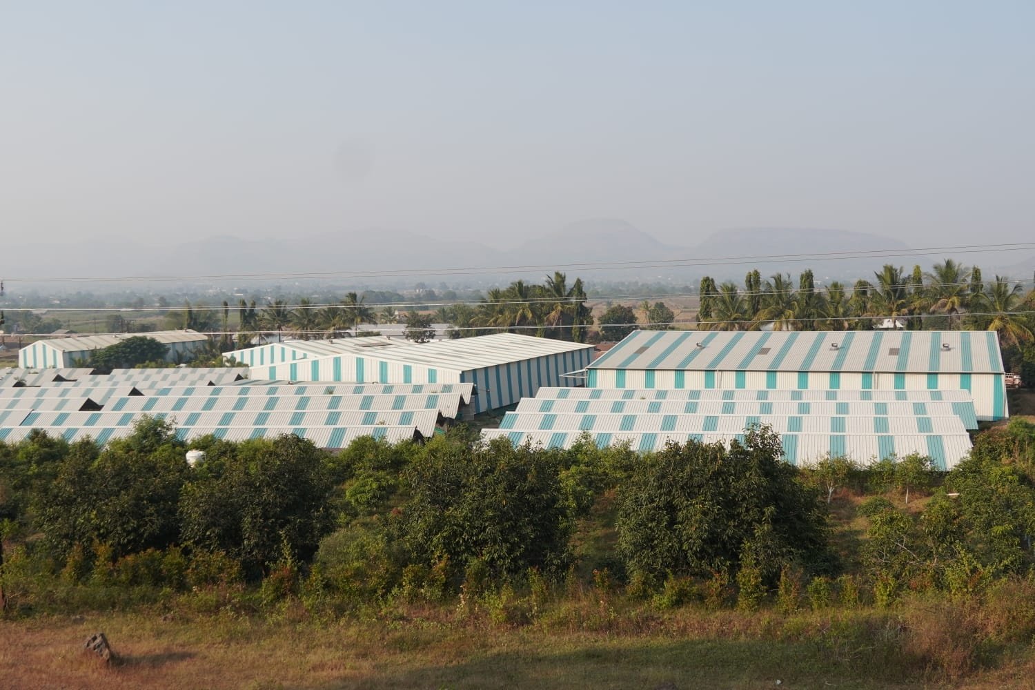 Onion Storage Shed & Packaging Infrastructure, Kalwan
